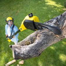 Best Pest Control for Lawns  in Oakdale, LA